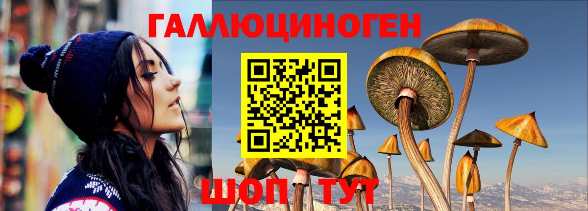 Галлюциногенные грибы Psilocybe  купить   Хабаровск  Вход с VPN 